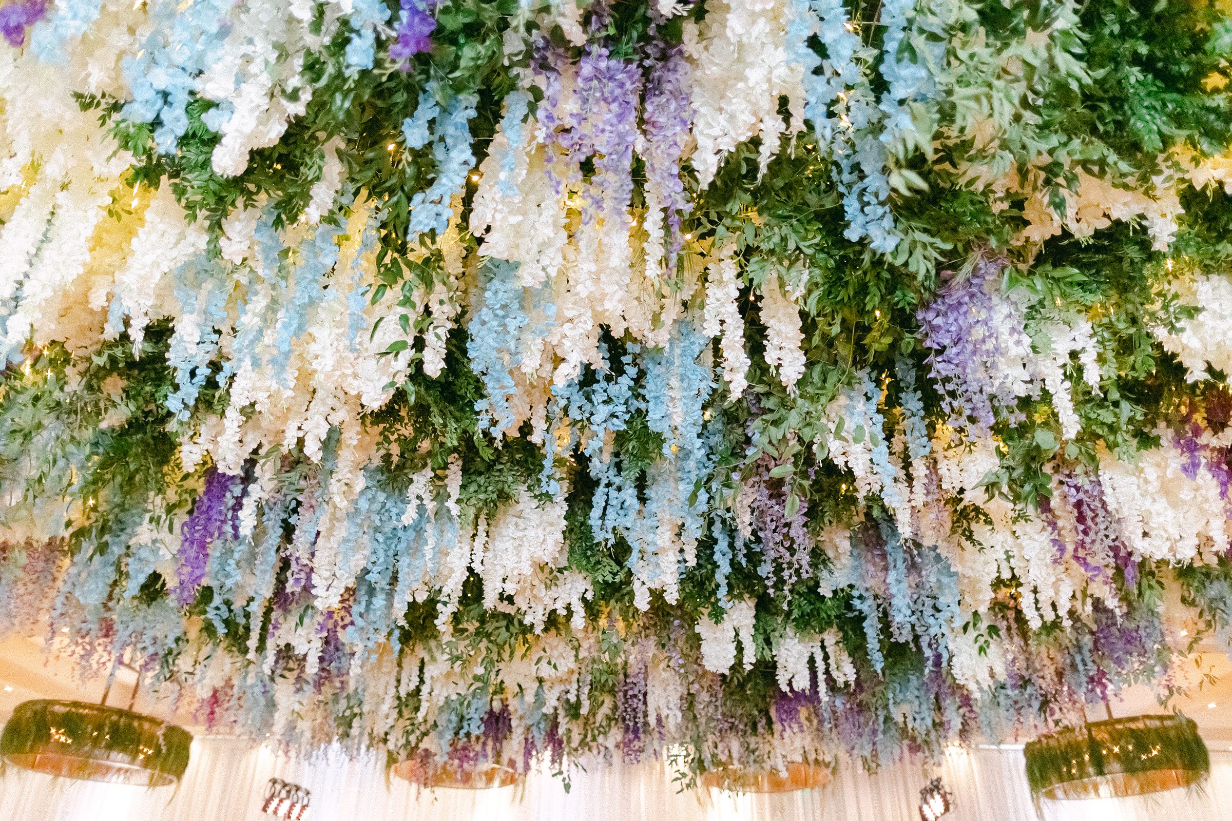 white, soft blue, soft purple artificial Wisteria hanging ceiling installation in the reception