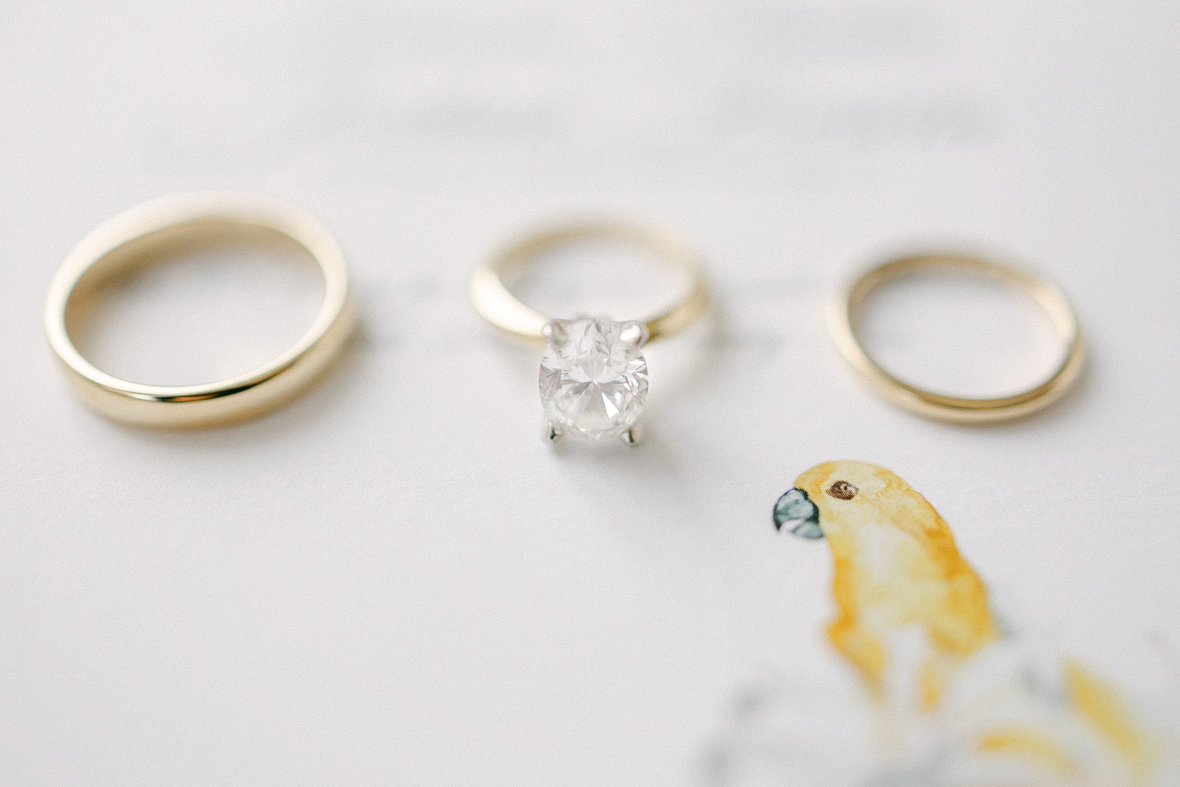three gold wedding rings placed side by side with the diamond ring in the middle placed on top of an invitation with a yellow bird caricature 