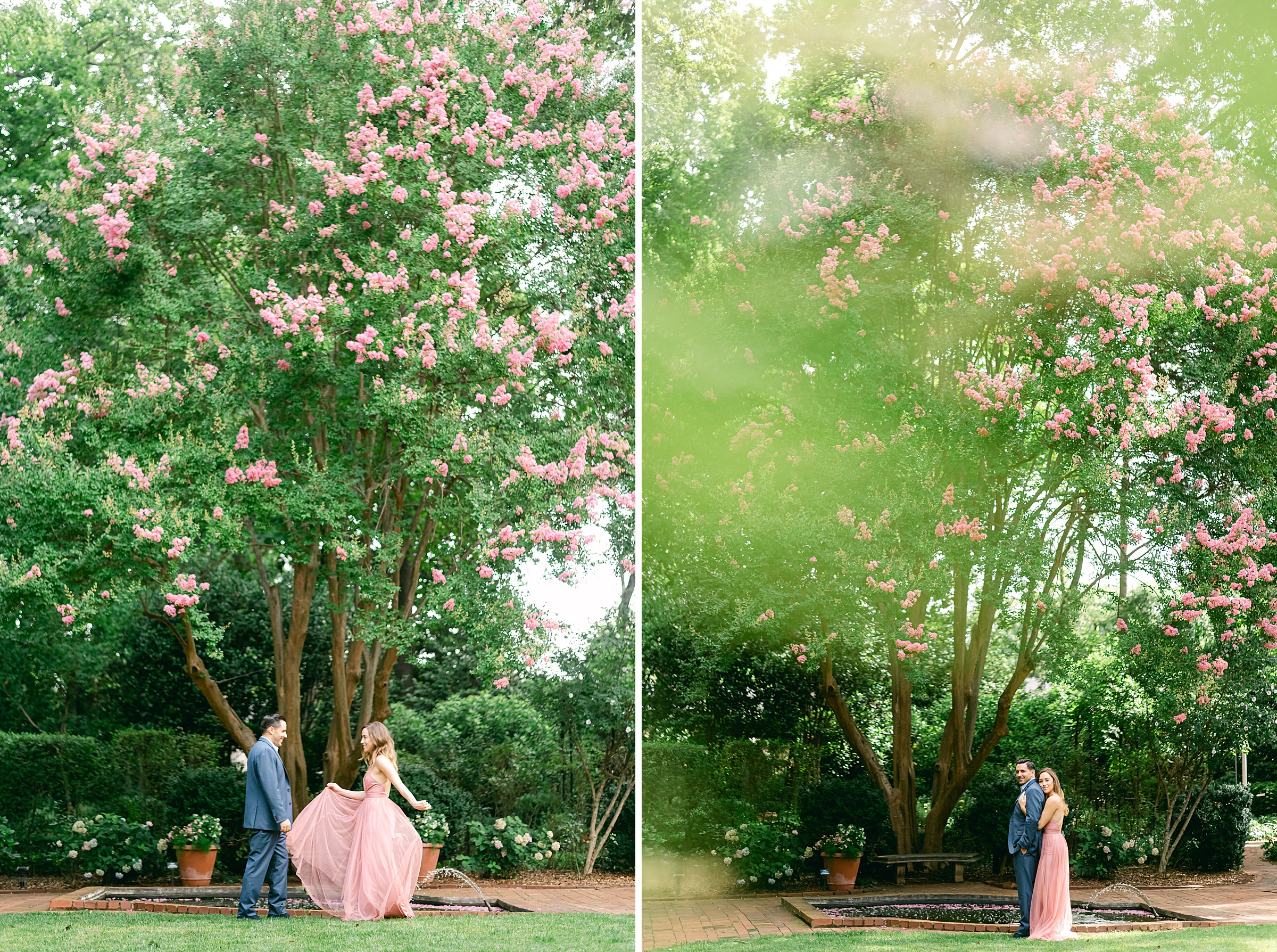 portrait of the engaged couple standing under a giant blooming pink blossom tree at Wing Haven Charlotte NC.